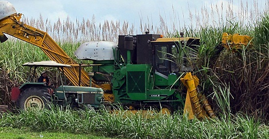 Harvesting