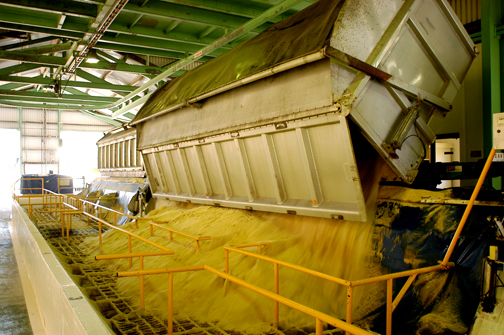 Milling and Refining Process