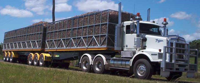 Cane Transport Operations
